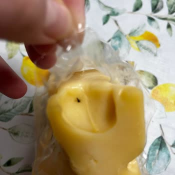 Vakumlu Peynirde Sinek Ölüleri Ve Yetersiz Müşteri Desteği