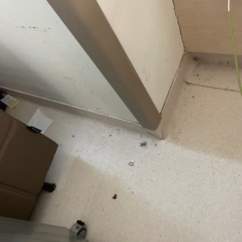 Cemil Taşçıoğlu Şehir Hastanesi Acil Serviste Hijyen Ve Personel İlgisizliği