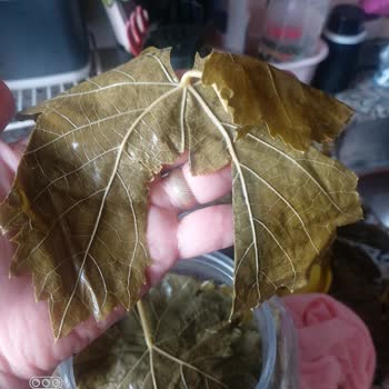 Egeden Köy Ürünleri (egedenkoyurunlerii) Salamura Yaprakla İlgili Ciddi Bir Hayal Kırıklığı Yaşadım
