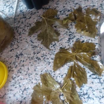 Egeden Köy Ürünleri (egedenkoyurunlerii) Salamura Yaprakla İlgili Ciddi Bir Hayal Kırıklığı Yaşadım