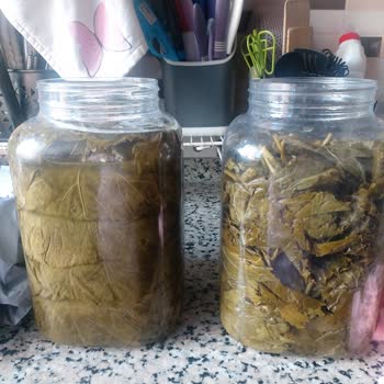 Egeden Köy Ürünleri (egedenkoyurunlerii) Salamura Yaprakla İlgili Ciddi Bir Hayal Kırıklığı Yaşadım