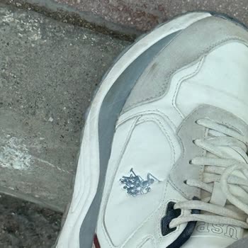 15 Gün İçinde Deforme Olan Ayakkabı İçin Çözüm Talebi