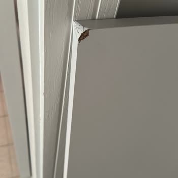 Trendyol Hasarsız ve Sağlam Bir Şekilde Yeniden Gönderilmesini Talep Ediyorum