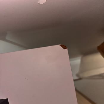 Trendyol Hasarsız ve Sağlam Bir Şekilde Yeniden Gönderilmesini Talep Ediyorum