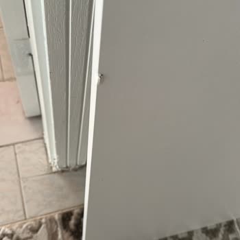 Trendyol Hasarsız ve Sağlam Bir Şekilde Yeniden Gönderilmesini Talep Ediyorum