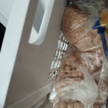 Arçelik Buzdolabında Kronik Küf Sorunu Ve Yetersiz Servis Çözümü