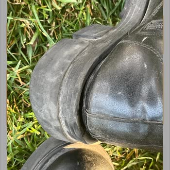 Kısa Sürede Deforme Olan Bot İçin Çözüm Sunulmadı