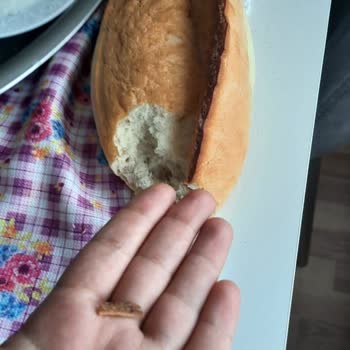 Baged Ekmek Fırını Ekmeğin İçinden Tahta Parçası Çıktı