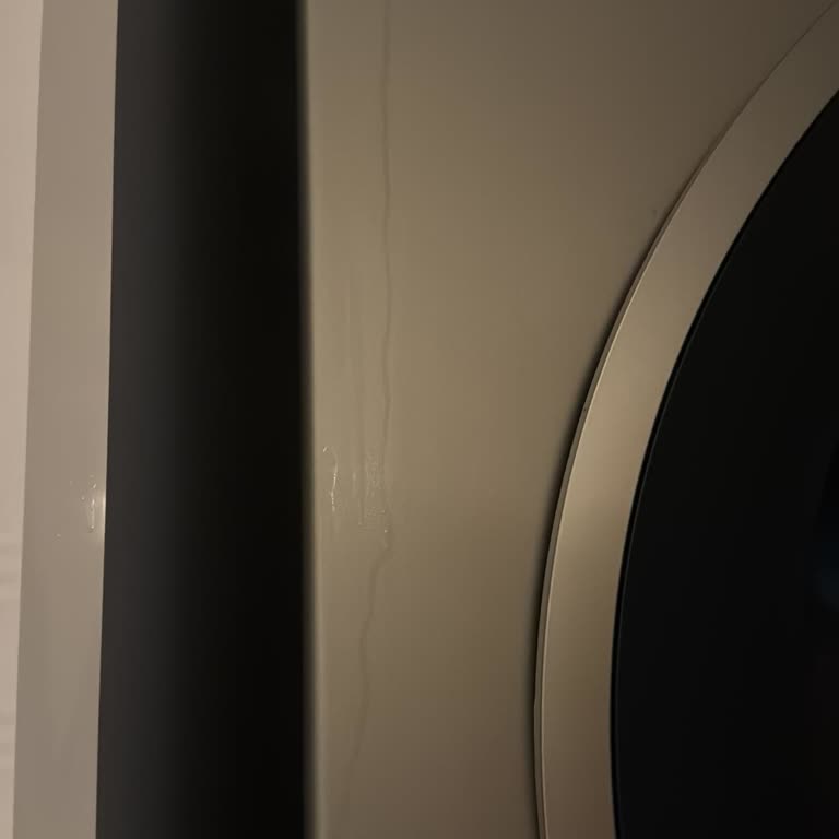 Bosch Kurutma Ve Çamaşır Makinesinde Çıkmayan Su Lekeleri Hayal Kırıklığı Yarattı