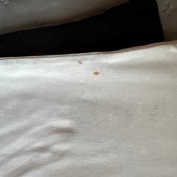 Bosch Çamaşır Makinesi Sürekli Pas Lekesi Sorunu Ve Çözüm Eksikliği