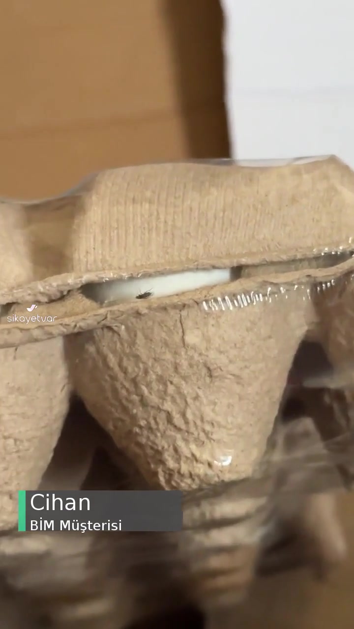 BİM Yumurta İçinden Çıkana Bak! videonun kapak resmi