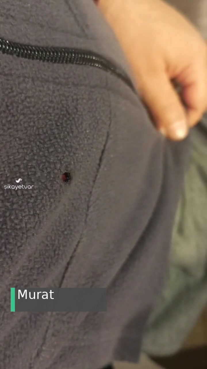 Kent Sigarada Yabancı Madde Var! videonun kapak resmi