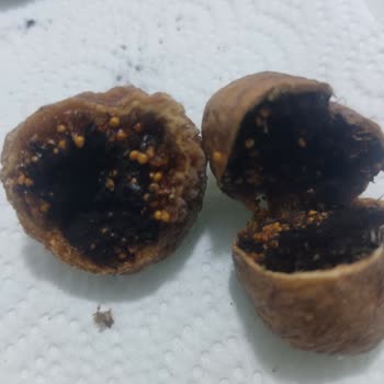 Küflü Ve Bozuk İncir Gönderimi Sonrası İletişimsizlik Ve İade Sorunu