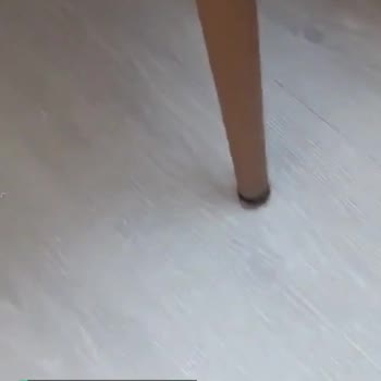 Gündoğdu Mobilya 2 Ayak Üzerinde Sandalye
