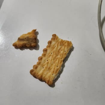 Pötibör Bisküvilerde Tekrarlayan Siyahlık Sorunu Endişelendiriyor