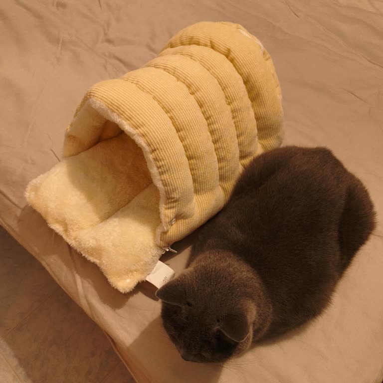 Sipariş Edilen Ürünün Görselden Farklı Ve Küçük Gelmesi İle İletişimsizlik