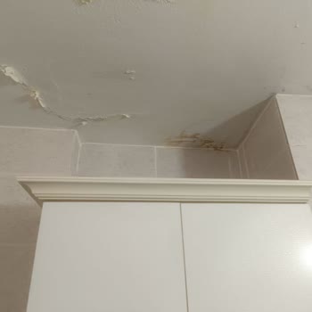 Hasar Dosyamın Haksız Reddi Ve Eksper Değişikliği Talebim