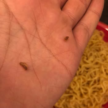 Indomie Hazır Noodle İçerisinden Kurt Çıkması ve Gıda Güvenliği Endişesi