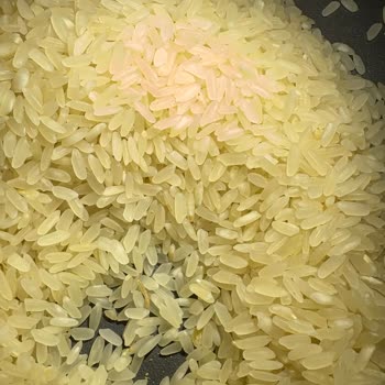 Aldığım Pirincin İçinden Böcek Ve Kurt Çıktı, Güvenim Sarsıldı