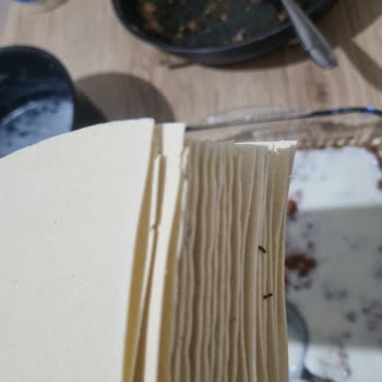 Barilla Lazanya Paketinde Böcek Çıkması Hijyen Endişesi Yaşattı