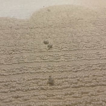 Gümüşsuyu Halı'da Tekrarlayan İplik Çıkması Ve Çözülmeyen Mağaza Desteği