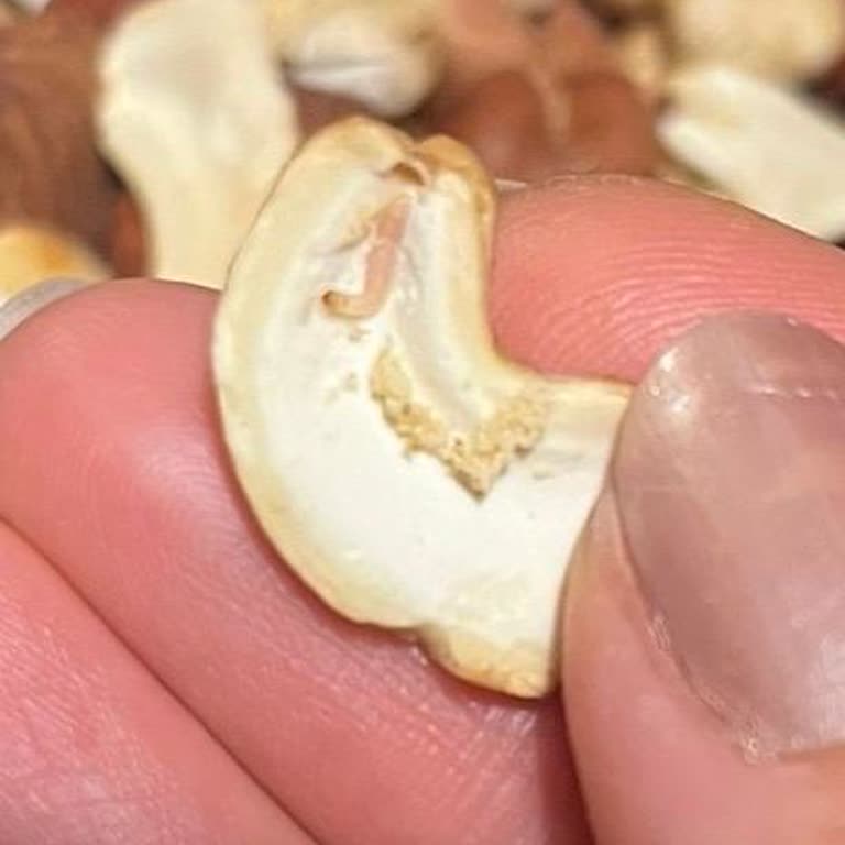 Açık Kuruyemişte Kurt Çıkması Nedeniyle Sağlık Riski Ve Mağduriyet