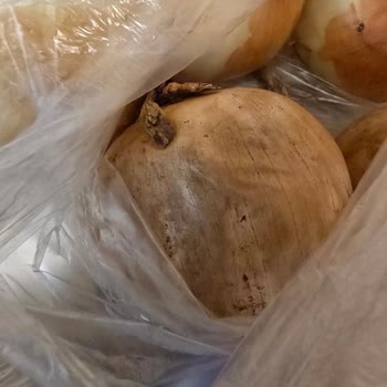 Дикси Недовоз И Привезли Испорченный Товар