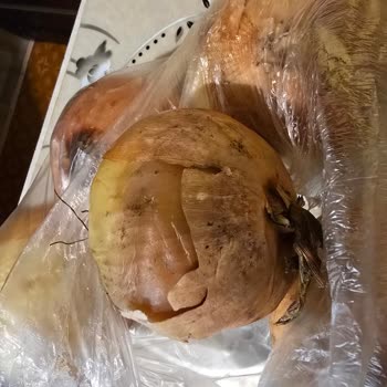 Дикси Недовоз И Привезли Испорченный Товар