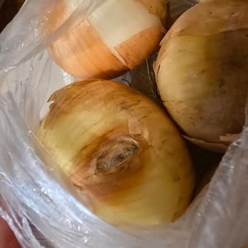 Дикси Недовоз И Привезли Испорченный Товар