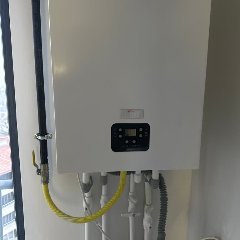 Caldera Ferroli Leone 20/24 C pierde agua, servicio técnico ausente