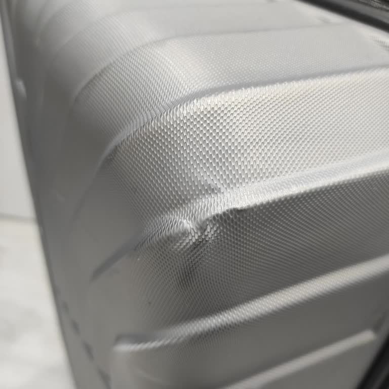 Pegasus Uçuşunda Valizimizin Kırılması Ve Mağduriyetimizin Giderilmemesi