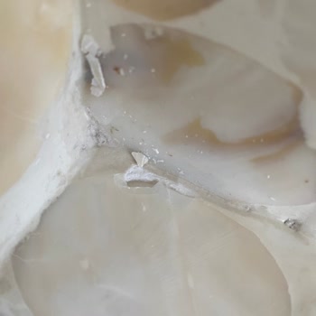 Kırık Gelen Tepsiler Ve Müşteri Hizmetlerine Ulaşamama Mağduriyeti