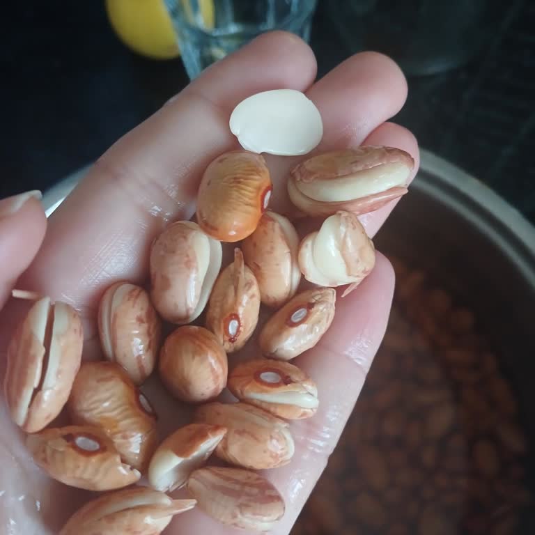 Son Kullanma Tarihi Geçmemiş Barbunya Bayat Çıktı