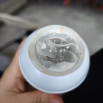 Philips Avent Biberon Başlığı Sorunu: Beslenmede Güçlük Ve Güven Endişesi