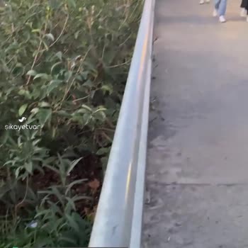 İstanbul Büyükşehir Belediyesi Çevre Kirliliği Had Safhada