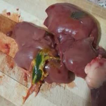 Migros Bozuk Gıda Ve İlgisiz Hizmet Nedeniyle Sağlık Endişesi