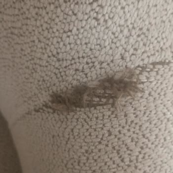 Aldığım Koltuk Takımında Sürekli Sorunlar Ve Mağaza Personelinden Saygısız Davranışlar