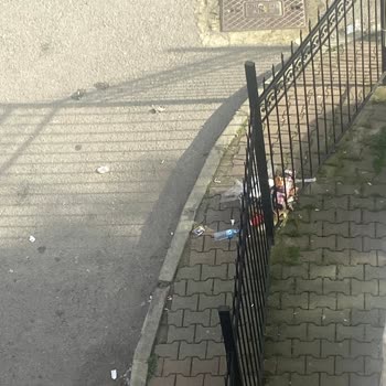 Kartal Belediyesi'nde Temizlik Sorunu Ve Çözüm Beklentisi