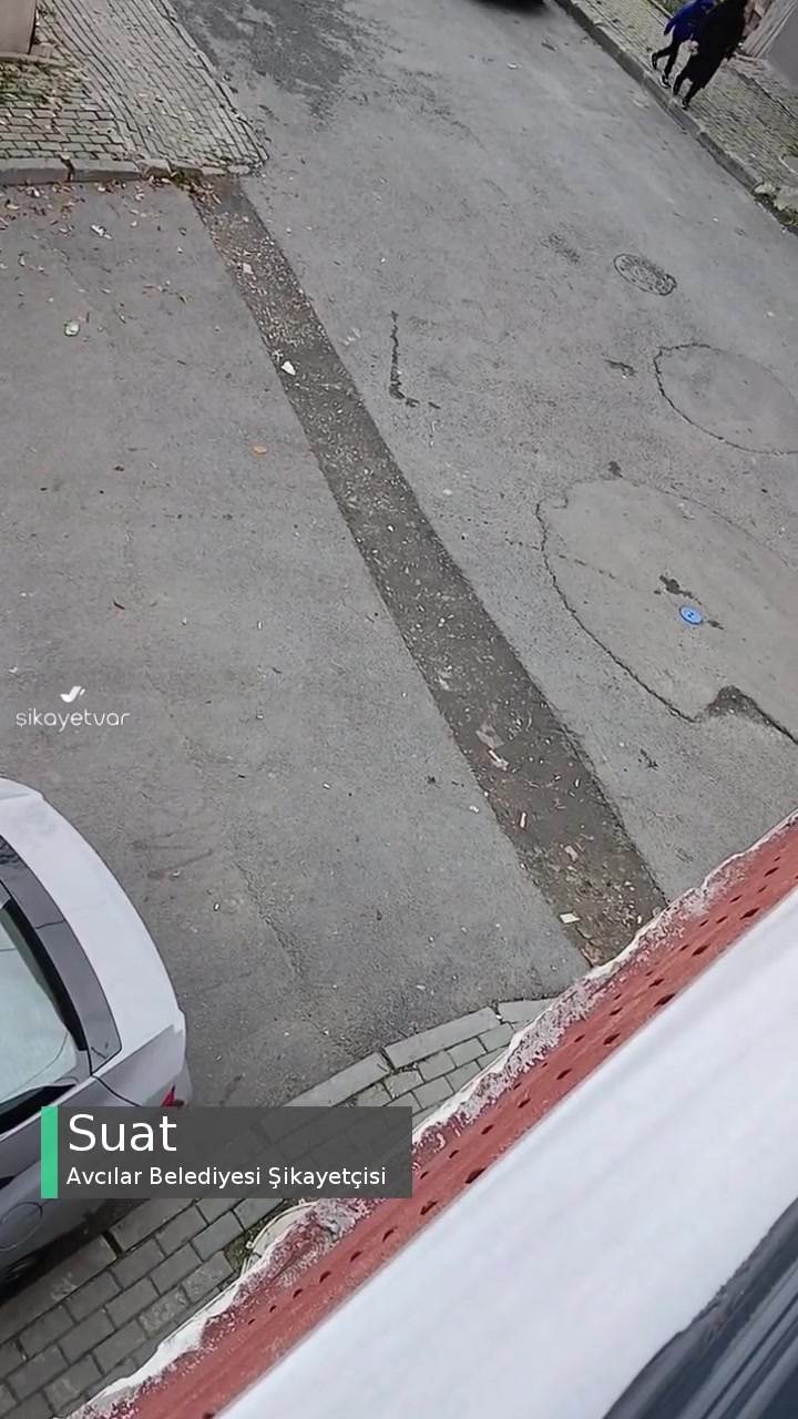 Avcılar Belediyesi Yolumuzu Yapın Kurtulalım! videonun kapak resmi
