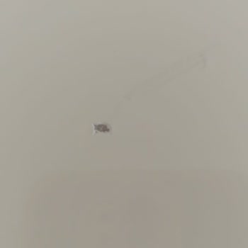 Yanlış Ve Defolu Ürün, İade Sorunu Ve İlgisizlik