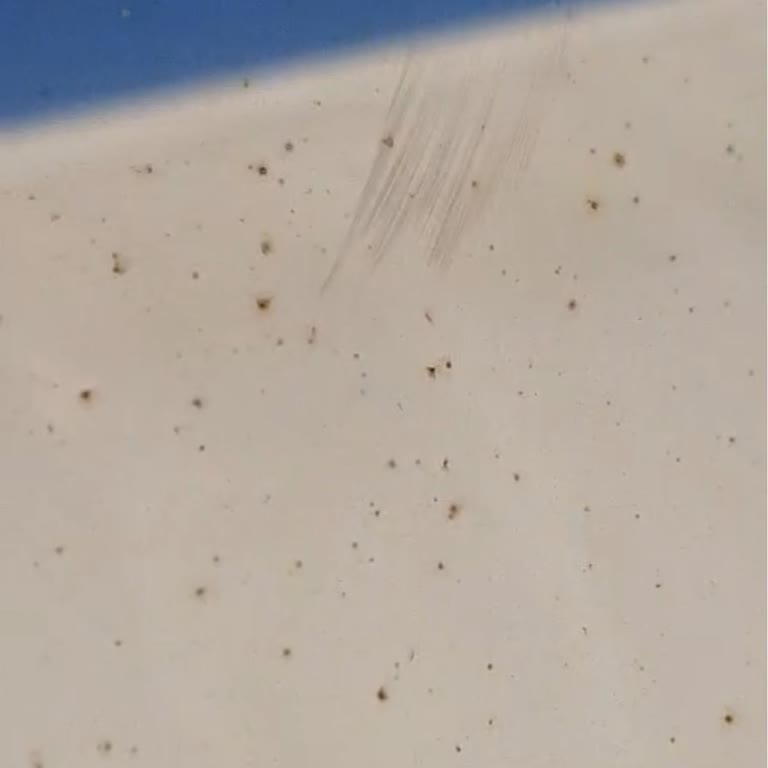 Chery Araç Teslim Sürecim!