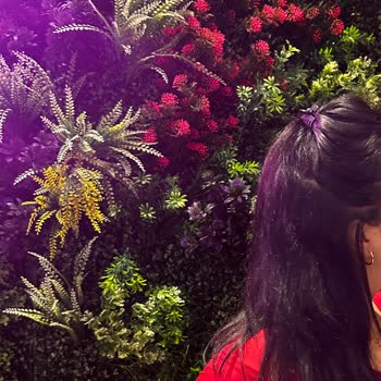 Kuaförde Ombre İşleminde Renk Eşitsizliği Ve Saygısız Davranış