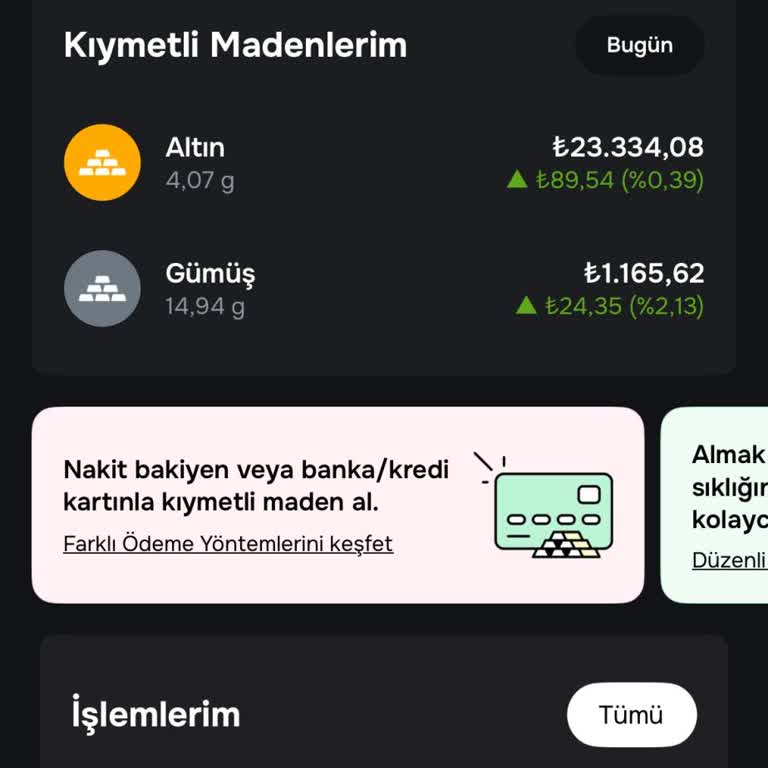 Papara'daki Altın Ve Gümüş Birikimlerime Erişemiyorum, Mağdurum