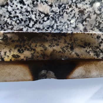 Alveus Doğalgaz Bağlantı Hatası Sonucu Patlayan Ocak Ve Güvenlik Endişesi