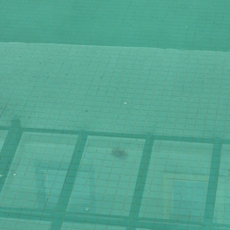 Jura Hotels Afyon Termal'den Şikayetçiyim