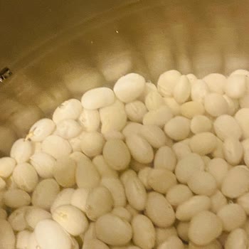 Aldığımız Kuru Fasulyede Böcek Çıktı Hijyen Ve Sağlık Endişesi Yaşadık