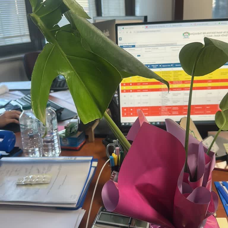 Doğum Günü Hediyesi Hüsrana Dönüştü: Çiçekler Solmuş Ve Hırpalanmış Geldi