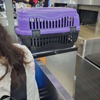 Yanlış Bilgilendirme Nedeniyle Ekstra Masraf Ve Mağduriyet