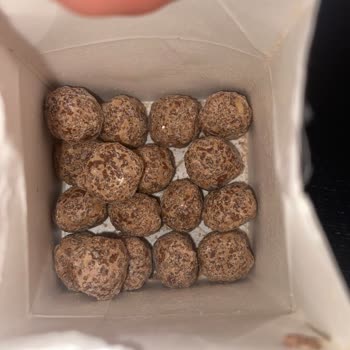 Son Kullanma Tarihi Geçmemiş Ürün Bozuk Çıktı, Ücret İadesi Talebi