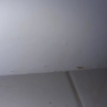 Bosch Çamaşır Makinesi Panelinde Tekrarlayan Paslanma Sorunu